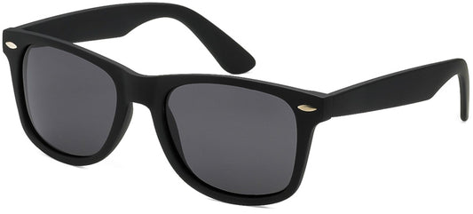 Polarized Wayfarer sunglasses